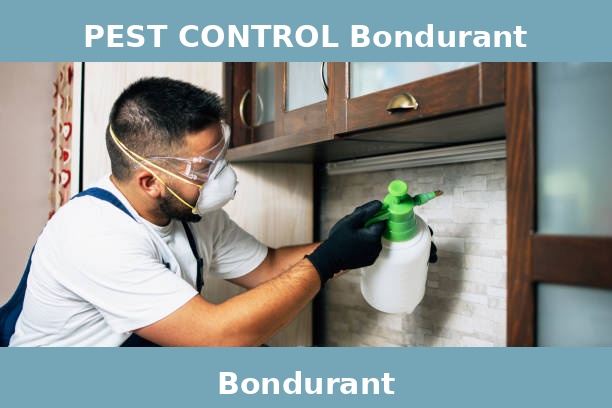 PEST CONTROL Bondurant